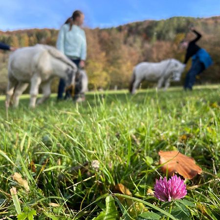 Buechlhof - App. Breitenstein Lilienfeld Dış mekan fotoğraf