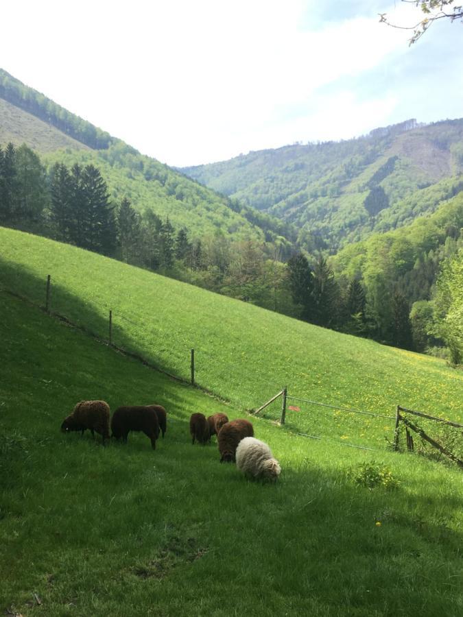Buechlhof - App. Breitenstein Lilienfeld Dış mekan fotoğraf