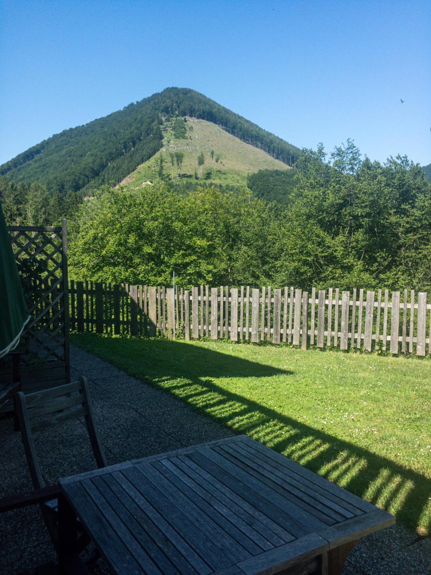 Buechlhof - App. Breitenstein Lilienfeld Dış mekan fotoğraf